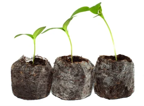 Оборудование для изготовления торфотаблеток- фото № 1