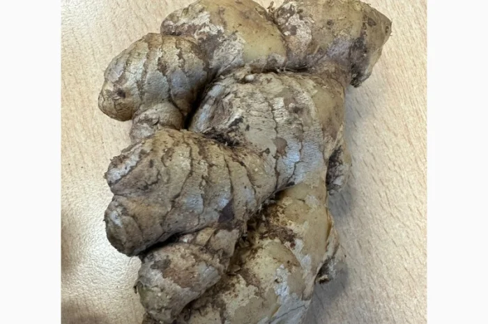 Імбир свіжий- фото № 1