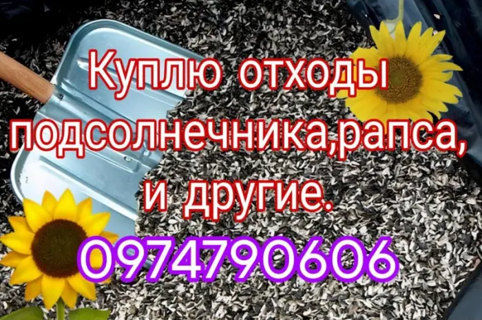 Закупаем деловые и мертвые отходы подсолнуха рапса сои и другие- фото № 1