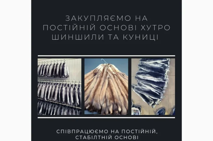 Куплю хутро куницы высокого качества- фото № 1