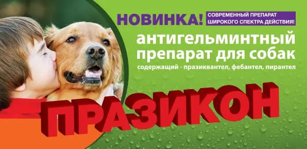 Празикон -ангельминтик широкого спектра действия- фото № 1