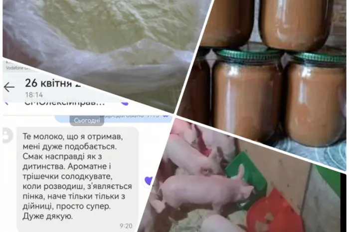 Сухе молоко 26%- фото № 1