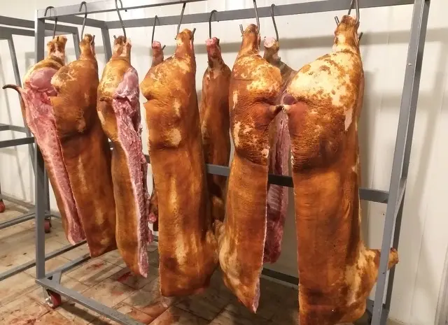 Закупаю свиней и свиноматок на мясо живым весом- фото № 1