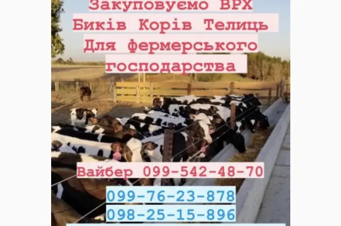 Ферма закупаем врх- фото № 1