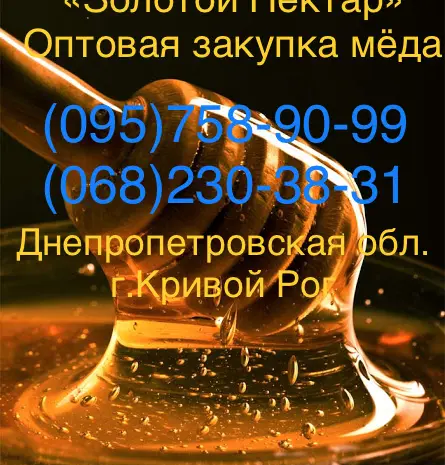 Золотой Нектар" Оптовая закупка меда (Кривой Рог)- фото № 1