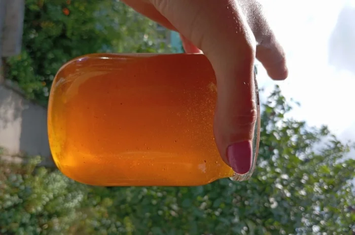 Пропонується мед з власної пасіки 2025 року, акацієвий- фото № 9