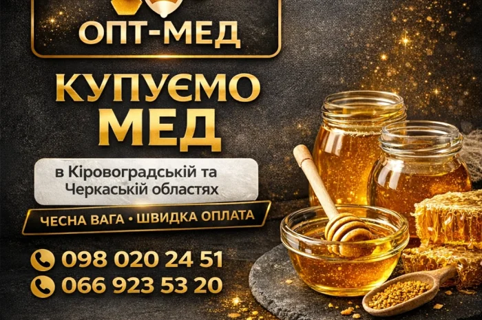 Закупаем мед оптом в центральных областях- фото № 1