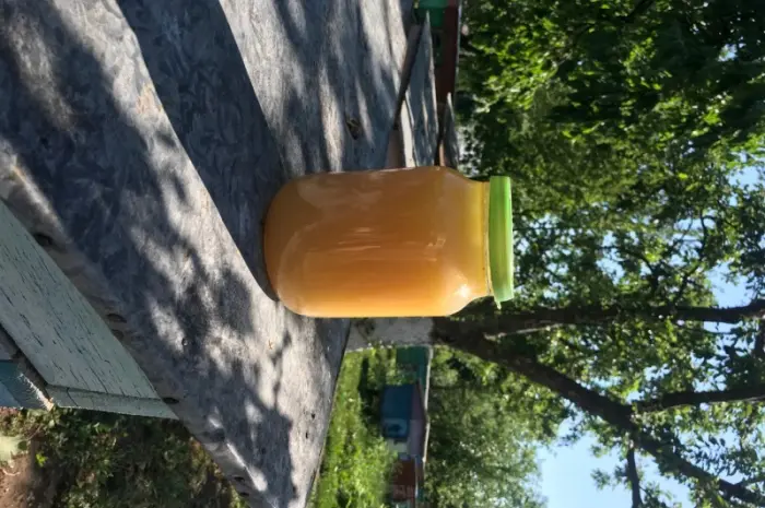 Продам мед та пилок- фото № 1