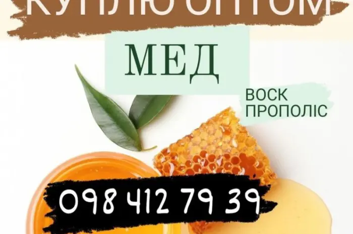 Куплю мёд оптом- фото № 1