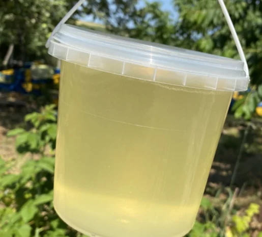 Купую мед оптом- фото № 1