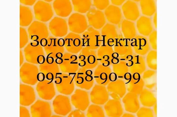 Закупка меда по Днепропетровской и Херсонской обл- фото № 1
