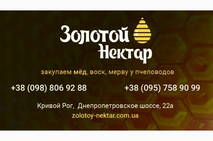 Куплю мёд оптом- фото № 1