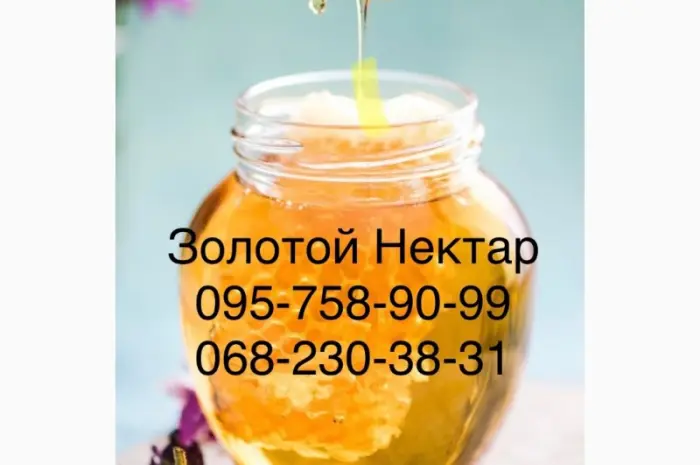 Закупаем Рапсовый Мёд- фото № 1
