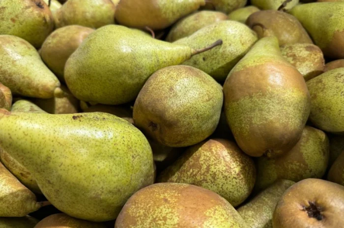 Продам Грушу- фото № 3