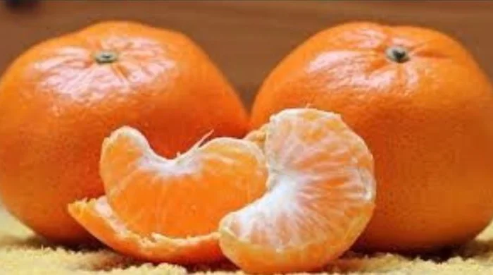 Продаж мандаринові оптом 3 вида- фото № 1