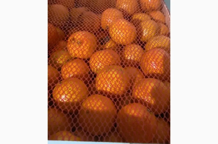 Мандарины испания опт- фото № 1