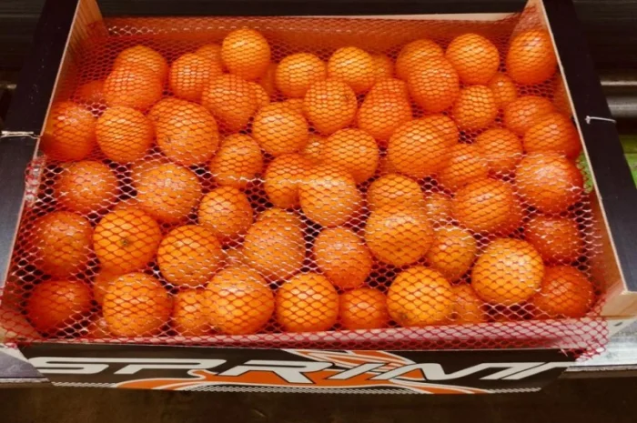 Мандарины испания опт- фото № 2