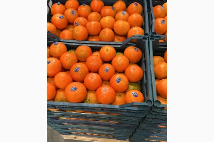 Мандарин Клементин Завозимо через Румунію, ціна в тоннах- фото № 1