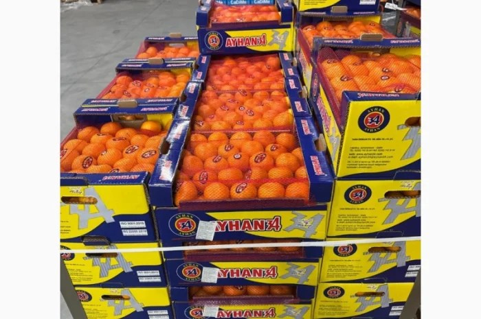 Продаємо мандарин гуртом- фото № 1