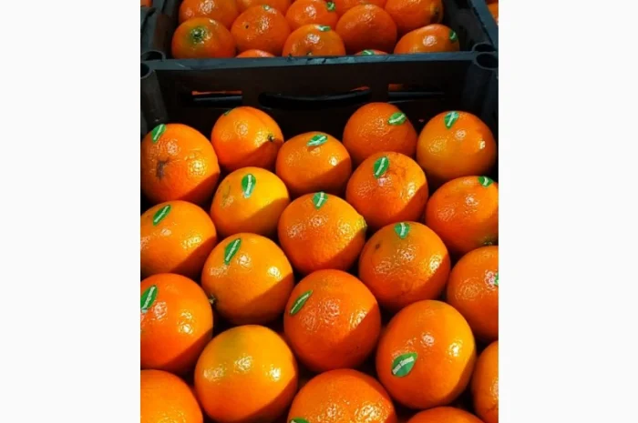 Мандарины свежие Египет- фото № 5