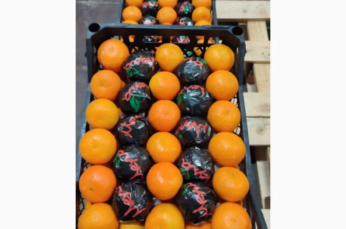 Мандарин NOVA- фото № 1