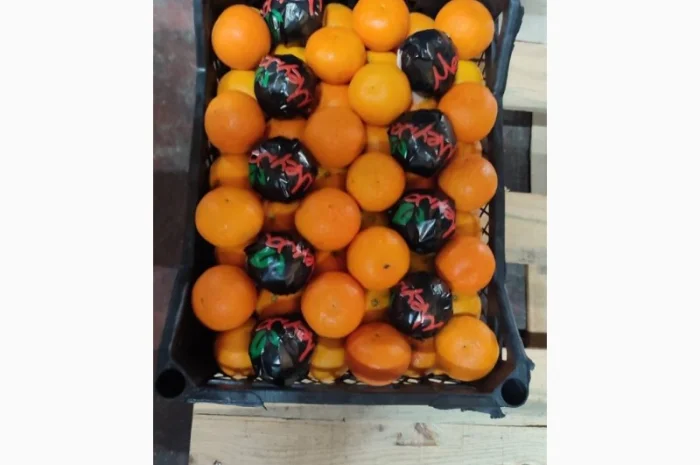 Мандарин NOVA- фото № 2