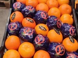 Продам Мандарины без косточек турция- фото № 1