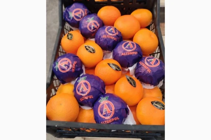 Мандарин Dobeshi- фото № 1