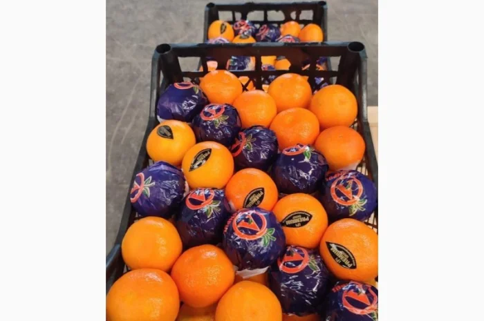 Мандарин Dobeshi- фото № 2