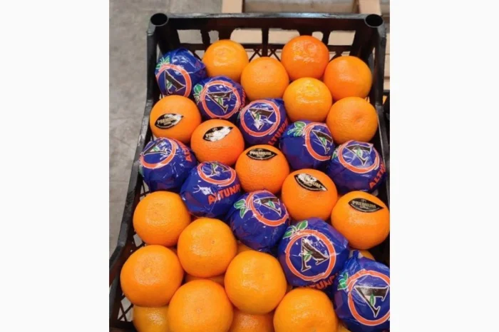 Мандарин Satsuma- фото № 1