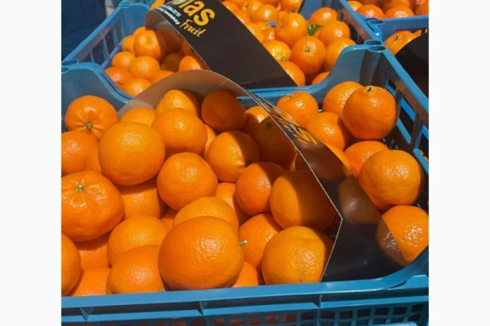 Продам мандарины без брака цена 36грн кг опт от 5 тонн- фото № 1