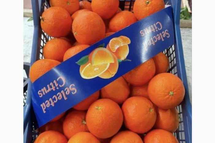 Продам Мандарины оптом по цене 36грн кг - от 5 тонн без брака доставка- фото № 2