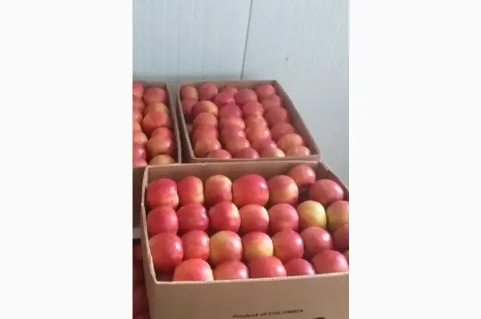 Продам яблоки- фото № 2