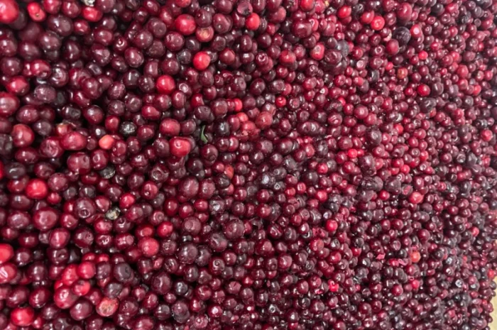 Вишня заморожена, Вишня- фото № 1