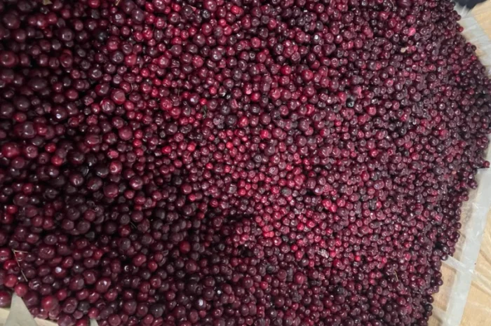 Вишня заморожена, Вишня- фото № 2