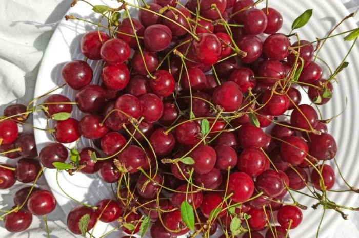 Куплю вишню оптом на заморозку від 5 тонн- фото № 1