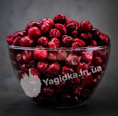 Продам Вишню свіжу і заморожену- фото № 1