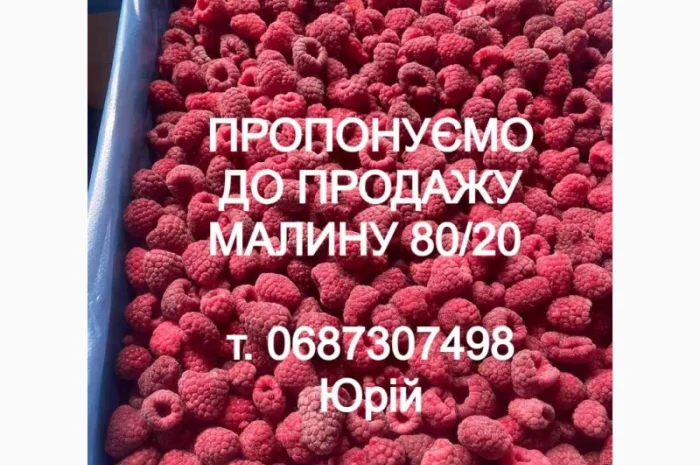 Продам заморожену малину- фото № 1