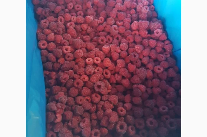 Продам МАЛИНУ замороженную- фото № 2