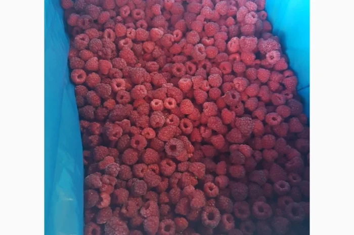 Продам МАЛИНУ замороженную- фото № 3