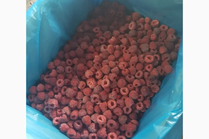 Продам МАЛИНУ замороженную- фото № 4