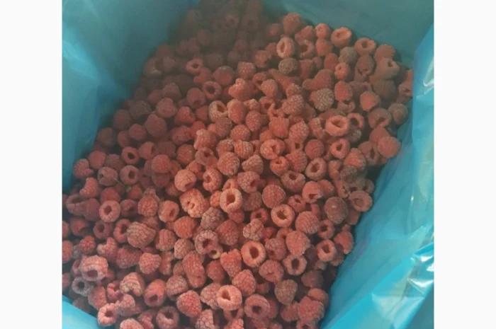 Продам МАЛИНУ замороженную- фото № 5