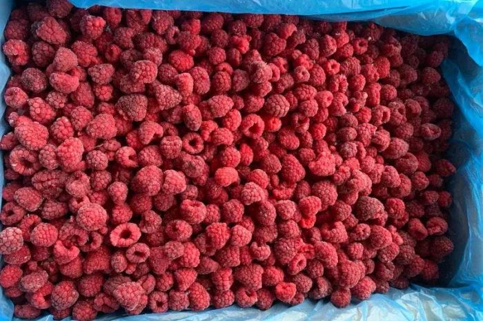 Куплю заморожену малину від 20 тонн- фото № 1