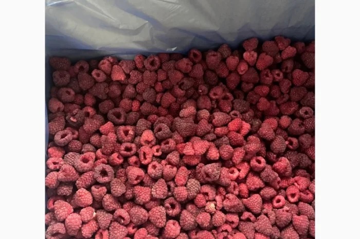 Заморожена малина- фото № 1