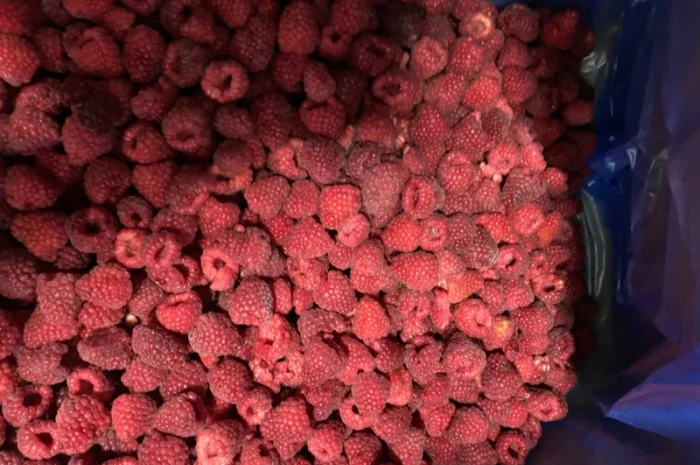 Заморожена малина- фото № 5