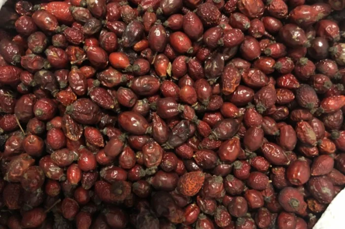 Продам якісну сушену шипшину- фото № 1