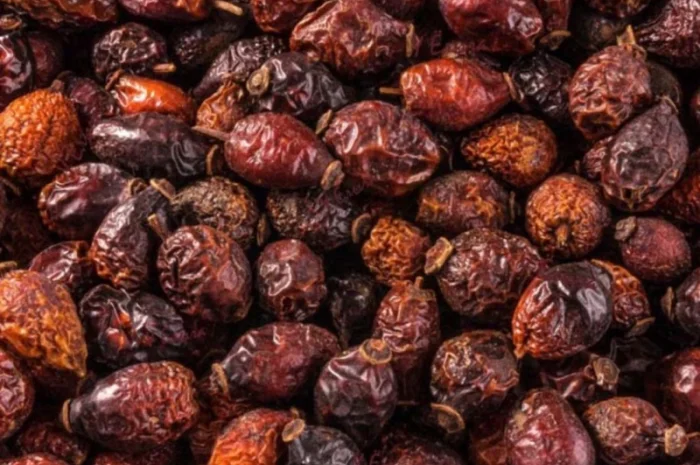 Продам шипшину сушену- фото № 1