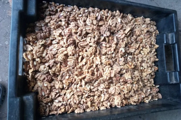 Закупаем светлое ядро. Бабочка. Четверть. Микс любого содержания бабочки.б- фото № 1