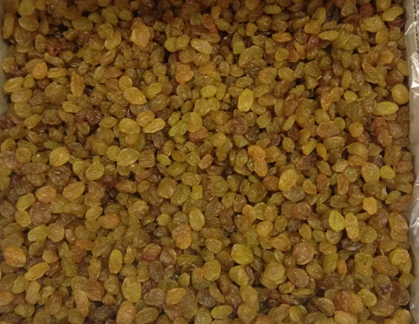 Продам изюм светлый 650- фото № 2