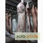 СРОЧНО продам от производителя говядину и свинину на экспорт внутренний рынок с 20 тонн- фото № 10
